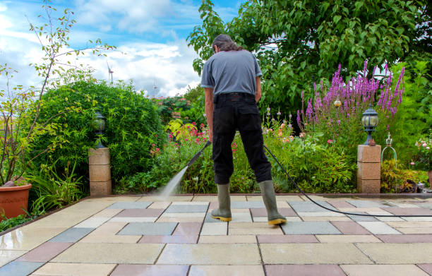 Best Pre-Holiday Cleaning  in Lockney, TX